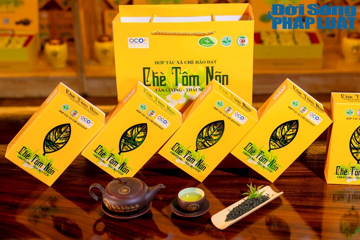 Trong bối cảnh người tiêu dùng ngày càng quan tâm đến chất lượng, an toàn thực phẩm và xuất xứ, truy xuất nguồn gốc đang trở thành yếu tố quan trọng giúp chè Thái Nguyên nâng cao giá trị, củng cố niềm tin và mở rộng thị trường