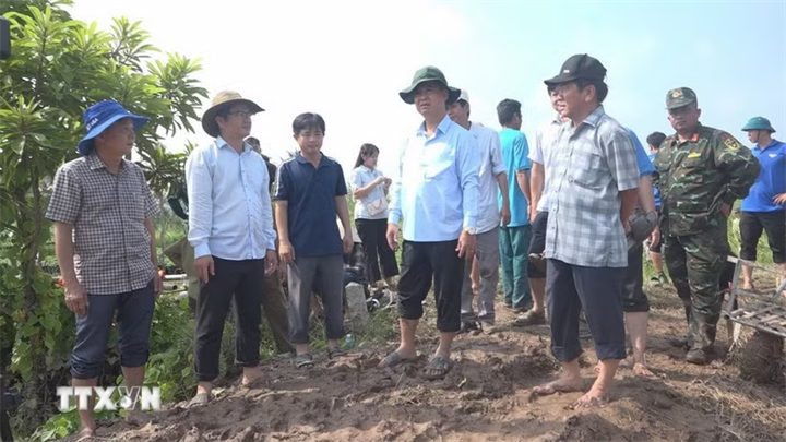 Lãnh đạo UBND tỉnh Vĩnh Long khảo sát sạt lở khu vực cồn Cái Gà. (Ảnh: Huỳnh Phúc Hậu/TTXVN)