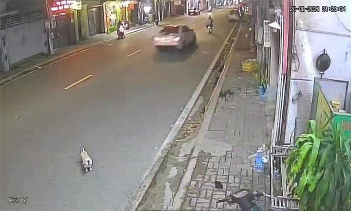 Hình ảnh chiếc xe ô tô gây tai nạn. Ảnh: Báo Công an TP.HCM