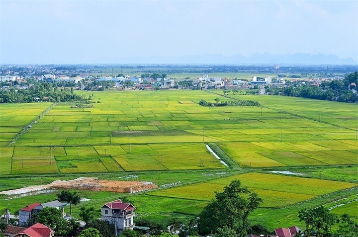 Ảnh minh họa/Dân Trí