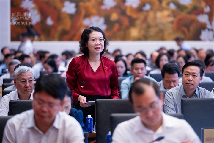 ĐBQH Mai Thị Phương Hoa (Ảnh: Media Quốc hội).