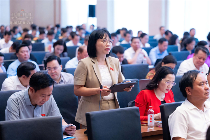 ĐBQH Nguyễn Thị Việt Nga (Ảnh: Media Quốc hội).