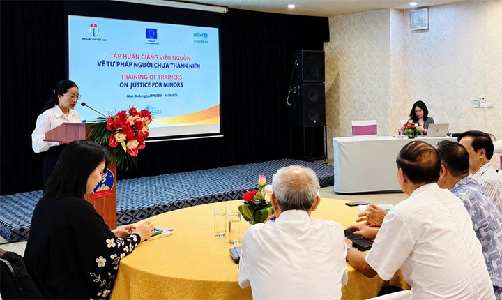 Hội Luật gia Việt Nam: Tăng cường kỹ năng thực thi Luật Tư pháp người chưa thành niên - 2