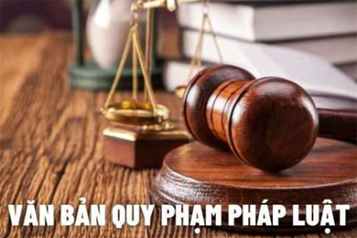 Ảnh minh họa/ Theo báo Chính phủ.