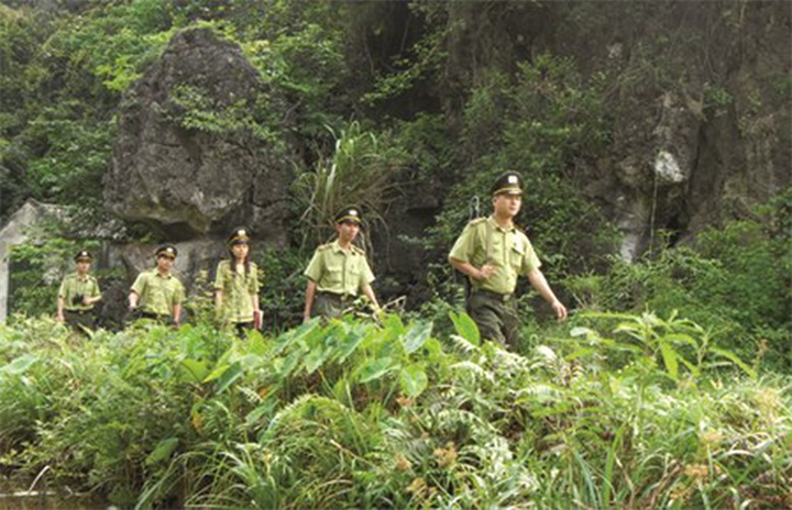 Ảnh minh họa: Báo Chính phủ.
