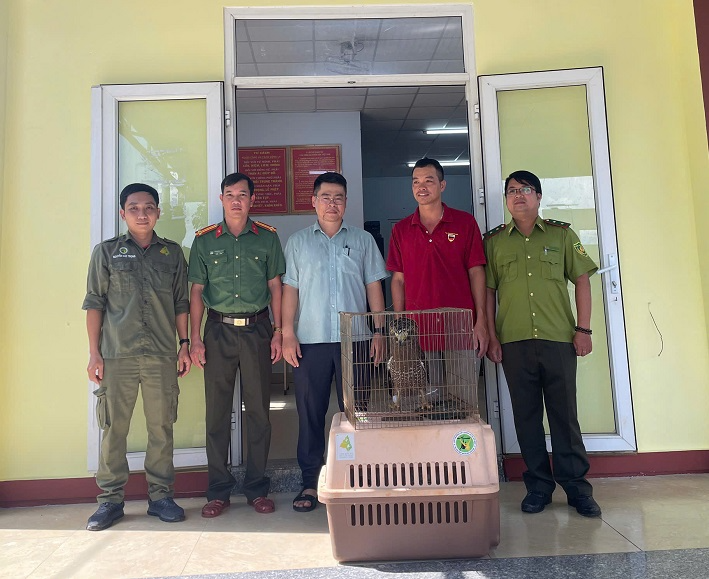 Công an xã Bảo Lâm 2 phối hợp với các cơ quan chức năng bàn giao cá thể Diều hoa miến điện cho đại diện Vườn quốc gia Bù Gia Mập. Ảnh: Công an xã Bảo Lâm 2/Trang TTĐT Công an tỉnh Lâm Đồng