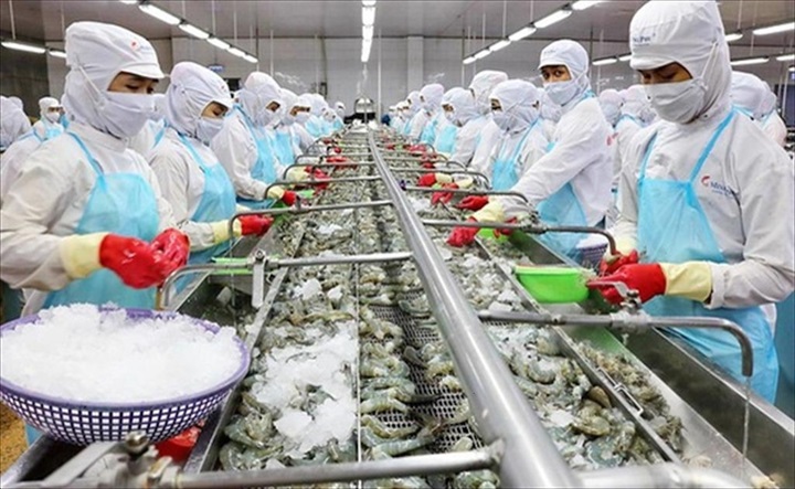 Xuất khẩu thủy sản của Việt Nam tháng 9/2026 ước đạt 1,135 tỷ USD, tăng 11,9% so với cùng kỳ, đưa kết quả 9 tháng lên 9,103 tỷ USD, tăng 11,4%. Ảnh: VASEP