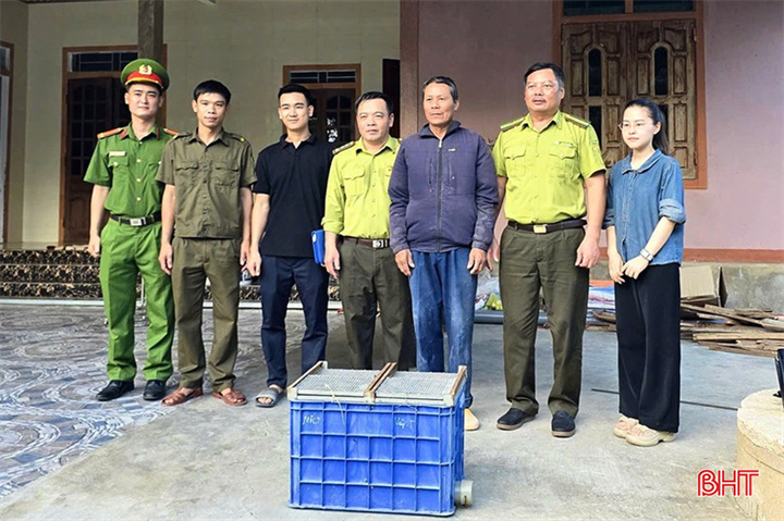 Ông Trần Đình Chinh giao nộp cá thể trăn đất cho cơ quan chức năng. Ảnh: Báo Hà Tĩnh