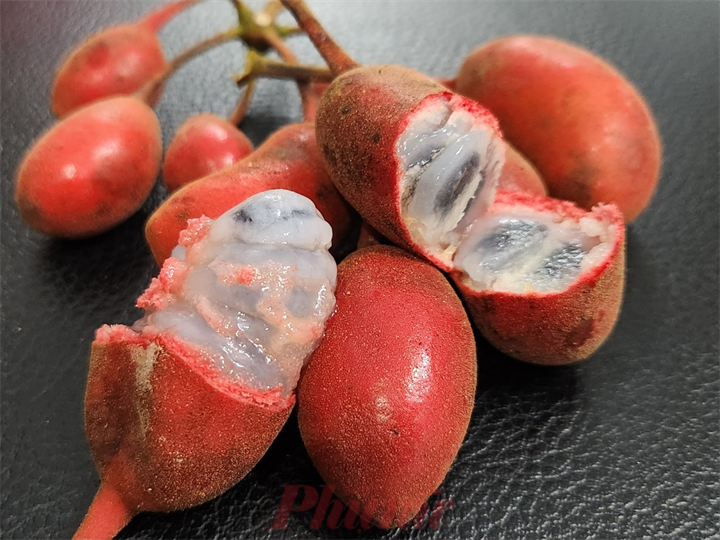 Đây là loại quả mọng căng, là món quà một thời thơ ấu. Ảnh: Tuoitre.vn/phunuonline