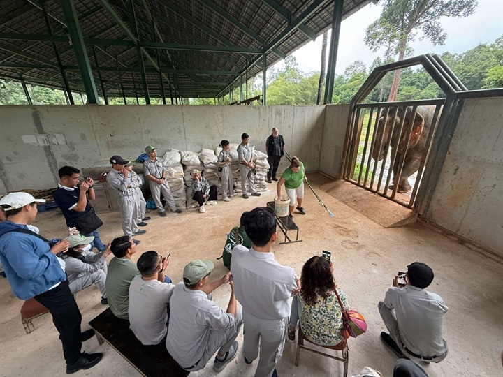 Từ hơn 4.000 cá thể đến mạng lưới bảo tồn quốc tế: Vinpearl Safari đã đi xa đến đâu sau hơn một thập kỷ? - 8