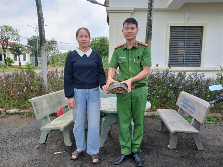 Chị Trịnh Thị Kim Chi bàn giao cá thể rùa cho Công an xã Cát Tiên. Ảnh: Trang TTĐT Công an tỉnh Lâm Đồng