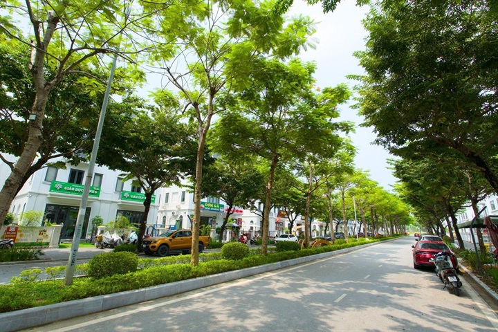 Những con phố rợp bóng cây tại Solasta Mansion, nơi nhịp sống riêng tư song hành cùng giao thương sầm uất.
