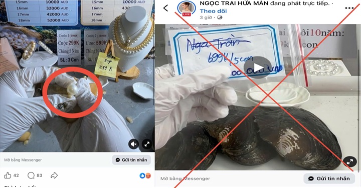 Lừa đảo qua livestream “mở ngọc trai”. (Ảnh: Trang thông tin điện tử Công an TP Đồng Nai)
