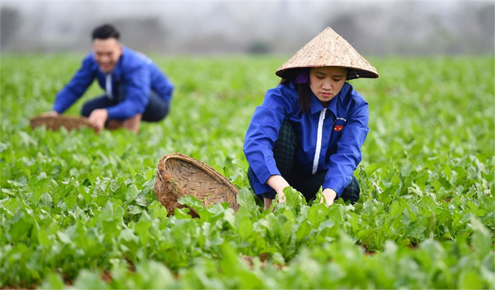 Ảnh minh họa/Báo Điện tử Chính phủ