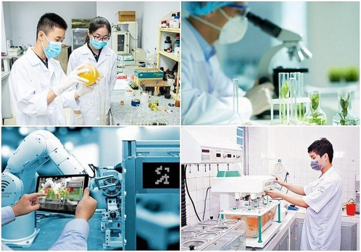 Cơ chế thu hút chuyên gia, tài năng trẻ trong hoạt động đổi mới sáng tạo. Ảnh: Báo Chính phủ