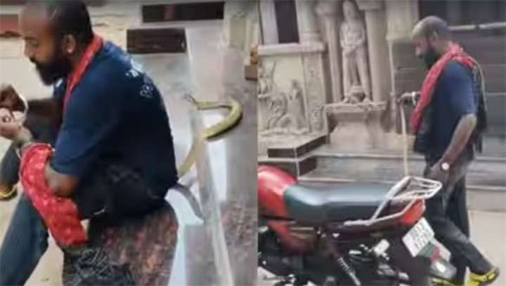 Tapan Kumar Pradhan vốn là một người nổi tiếng ở địa phương với công việc chuyên bắt rắn độc và giải cứu những con rắn bò vào nhà dân. Ảnh: The Times of India