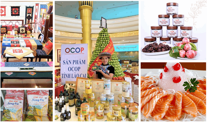 OcopLaoCai. Ảnh CTTĐT Lào Cai.