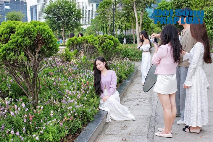 Thấp thoáng sau những khóm violet tím lịm, phóng tầm mắt sang bên kia mặt hồ là công trình Cung Thiếu nhi Hà Nội cùng những tòa cao tầng san sát mang hơi thở của nhịp sống hiện đại. Sự giao thoa giữa vẻ đẹp mộng mơ, tĩnh lặng của thiên nhiên và nét trẻ trung, năng động của kiến trúc đô thị đã mang đến cho Công viên An Hòa một bức tranh cảnh quan độc đáo, hiếm có giữa lòng phố thị ồn ào.