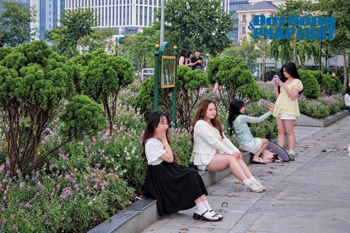 Chính nét đẹp giao hòa đầy thi vị ấy đã nhanh chóng đưa nơi đây trở thành "tọa độ" check-in mới được giới trẻ Hà thành đặc biệt săn đón. Dọc theo những luống hoa, không khó để bắt gặp hình ảnh các bạn trẻ xúng xính váy áo, hào hứng tạo dáng để lưu lại những khoảnh khắc thanh xuân rực rỡ.