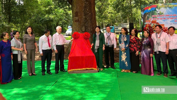 Nguyên Ủy viên Bộ Chính trị, nguyên Chủ tịch nước Nguyễn Minh Triết (trái) và Ủy viên Trung ương Đảng, Phó Bí thư Thường trực Thành ủy Tôn Ngọc Hạnh (phải) thực hiện nghi thức mở bia cây di sản.