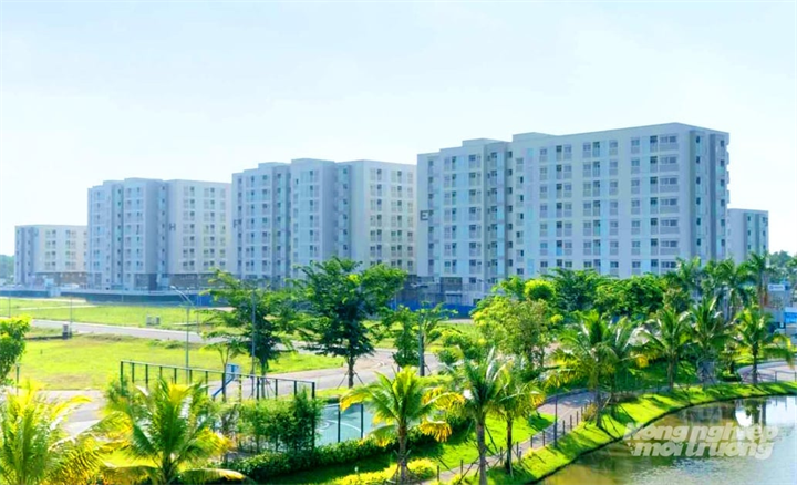 Ảnh minh họa: Lê Hoàng Vũ./ Báo Nông nghiệp và Môi trường.