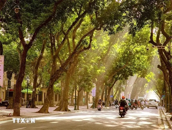 Ảnh minh họa/TTXVN