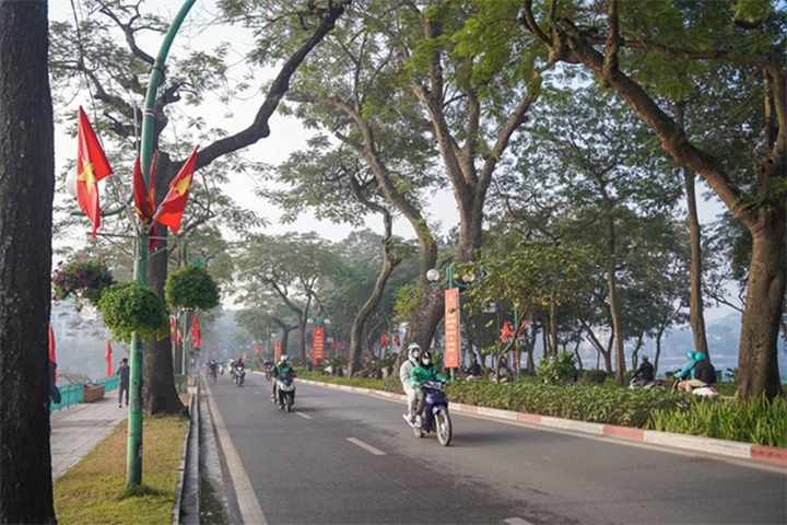 Hà Nội công bố 18 loài cây cấm trồng nơi công cộng, có trứng cá, dâu da - 1