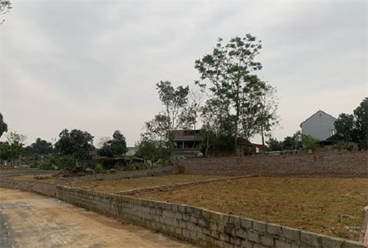 Ảnh minh họa: Thùy Linh/Nông nghiệp và Môi trường