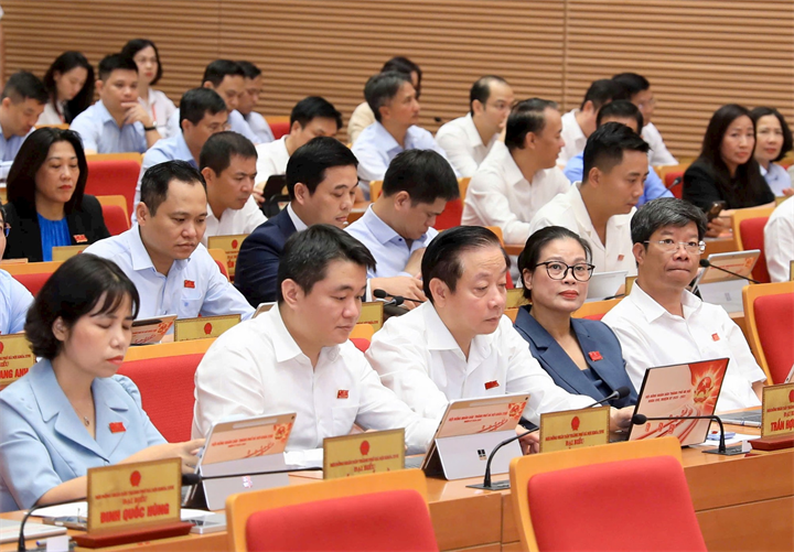 Các đại biểu tham dự phiên chất vấn. Ảnh: Thành Thái