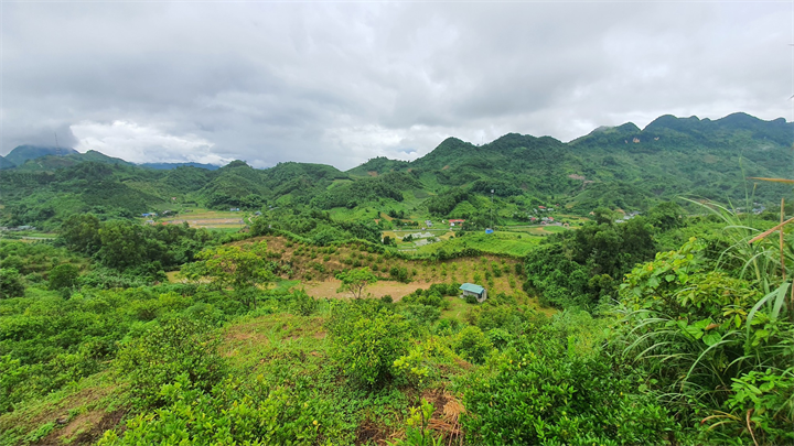 Ảnh minh họa: Lê Quân/Thanh Niên