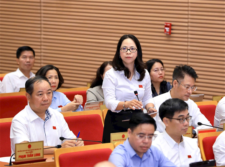 Đại biểu Lâm Thị Quỳnh Dao (tổ đại biểu số 10) đặt câu hỏi chất vấn. Ảnh: Thành Thái