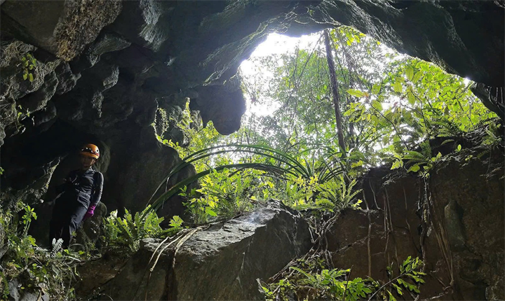 rên vách hố sụt có một khe nứt (cao 5m, sâu 12-15m) không có luồng khí lưu thông. Ảnh: Jungle Boss