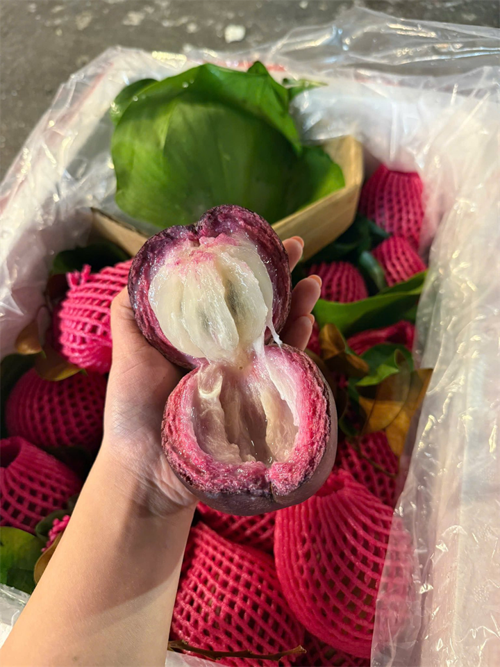 Với hương vị hấp dẫn và màu sắc bắt mắt, vú sữa Lò Rèn – thức quả đặc sản nức tiếng ở Đồng Tháp được đông đảo người tiêu dùng săn đón. Ảnh: VietNamnet