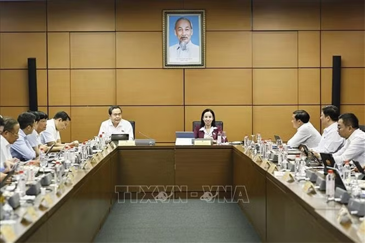 Chủ tịch Quốc hội Trần Thanh Mẫn, đại biểu Quốc hội TP Hồ Chí Minh phát biểu. Ảnh: Doãn Tấn/TTXVN