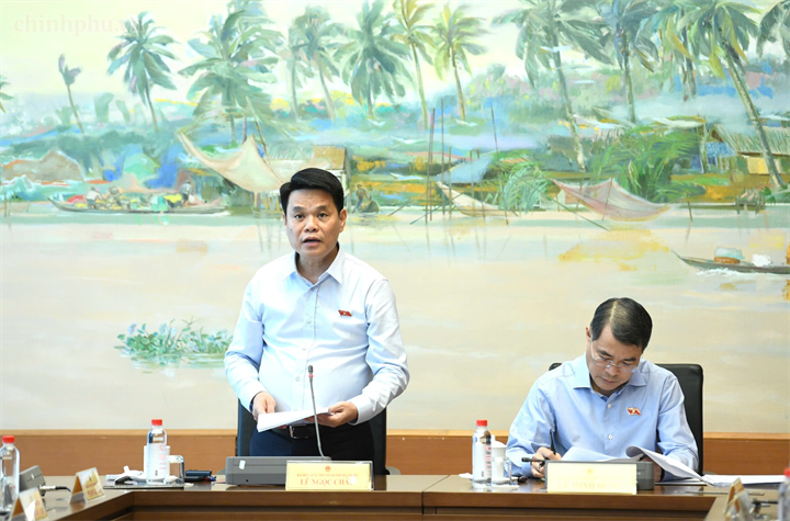 Đại biểu Quốc hội thành phố Hải Phòng Lê Ngọc Châu phát biểu - Ảnh: chinhphu.vn/Nhật Bắc