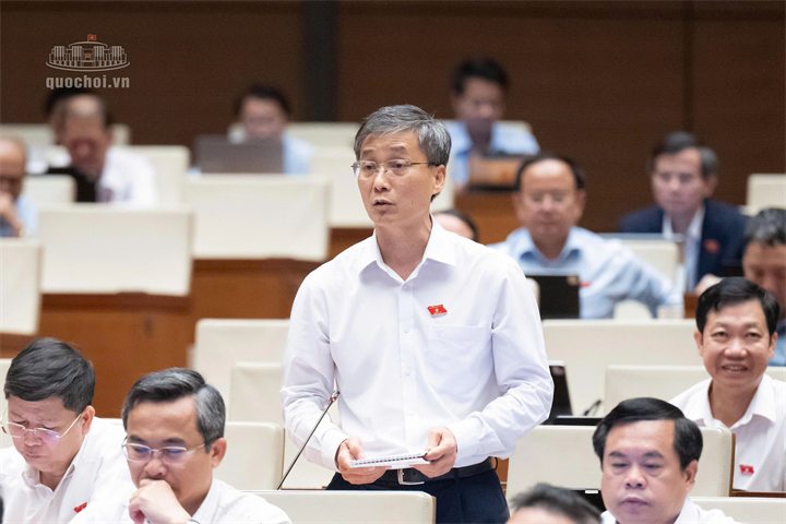 ĐBQH Nguyễn Khánh Ngọc (Ảnh: Media Quốc hội).