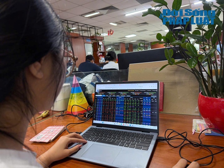 Công ty cổ phần Tandoland bị xử phạt vì vi phạm hành chính trong lĩnh vực chứng khoán. Ảnh minh họa: Khánh Phương