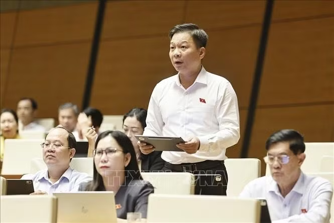 Đại biểu Quốc hội tỉnh Cà Mau Nguyễn Bình Tân phát biểu tại Quốc hội. Ảnh: Doãn Tấn/TTXVN