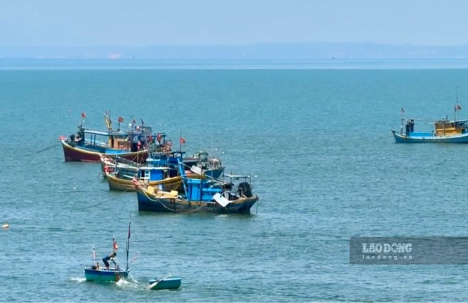 Tàu cá hoạt động trên vùng biển Lâm Đồng. Ảnh: Duy Tuấn (chụp tháng 10/2026).