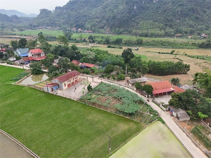 Ảnh minh họa/Dân Việt