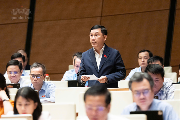 ĐBQH Lê Hoàng Anh (Ảnh: Media Quốc hội).