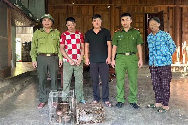 Hai cá thể khỉ quý hiếm được lực lượng chức năng tiếp nhận (Ảnh: Công an xã Quỳ Châu).