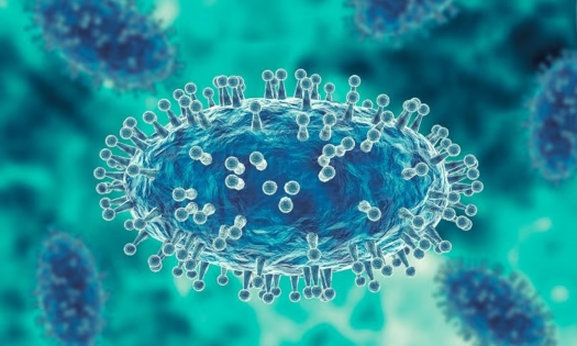 Đưa trái phép virus đậu mùa khỉ vào Mỹ, hai nhà nghiên cứu bị truy tố 