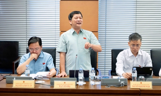 ĐBQH: Một gia đình nuôi 2 con ăn học thì mức giảm trừ gia cảnh 6,2 triệu đồng/người là không đủ