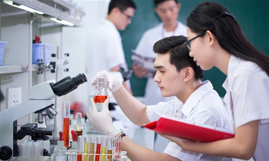 Chương trình hành động của Chính phủ về thu hút và trọng dụng nhân tài trong các ngành, lĩnh vực mũi nhọn