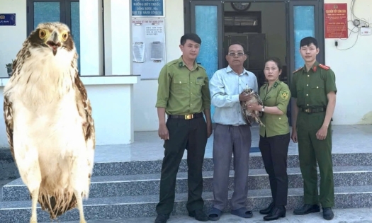 Phát hiện cá thể chim hoang dã, là khắc tinh của rắn, người dân giao nộp cơ quan chức năng