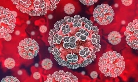 Bộ Y tế cập nhật thông tin mới nhất về bệnh do virus Hanta