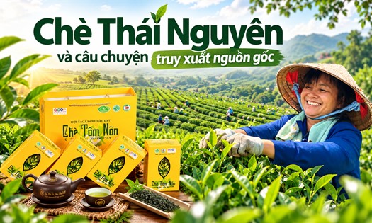 Chắp cánh cho “đệ nhất danh trà” Thái Nguyên vươn tầm thế giới - Bài 1: Chè Thái Nguyên và câu chuyện truy xuất nguồn gốc