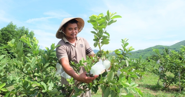 Chạy trốn thành phố, 8X miền Tây về quê vợ 